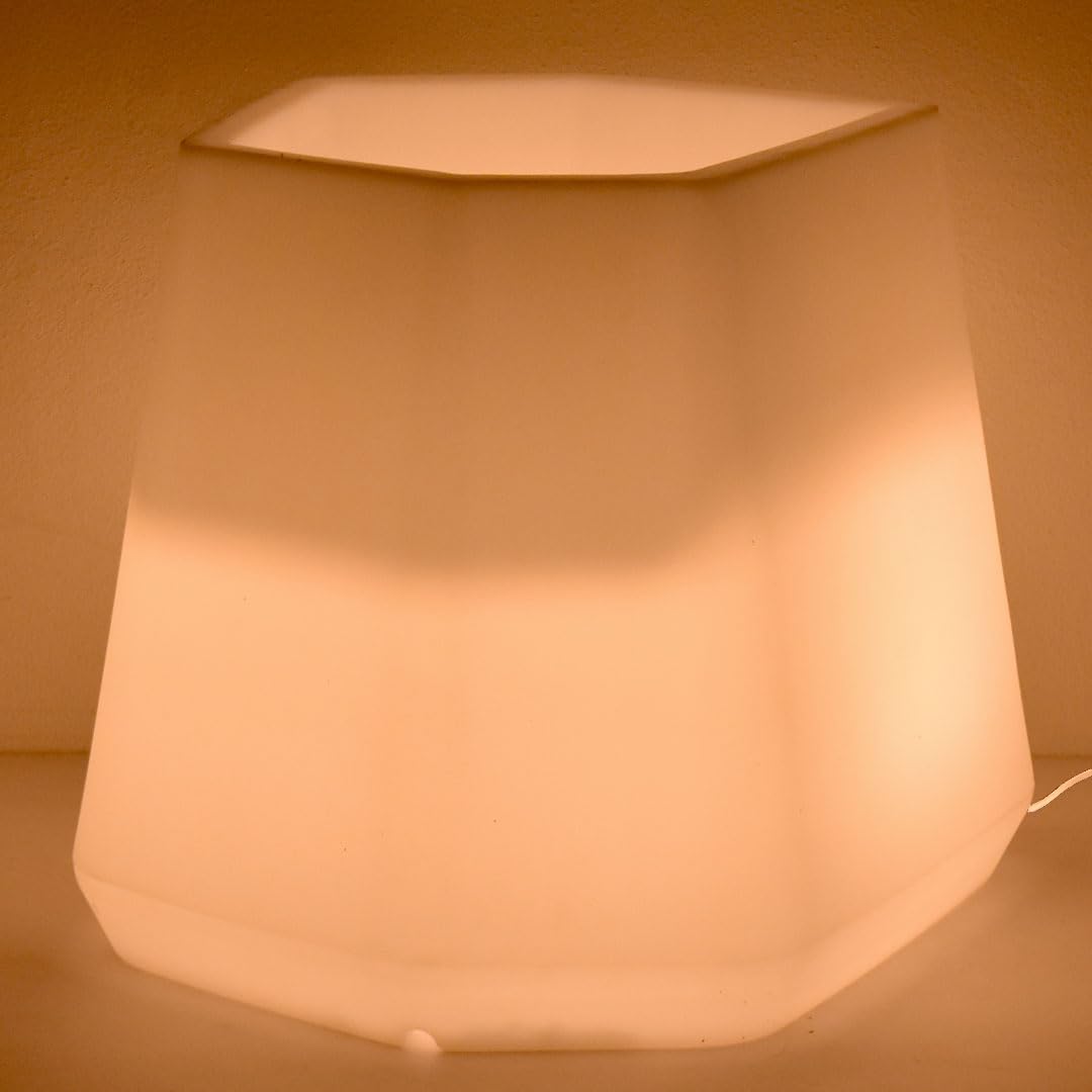 Danieli Vasi Luminosi da Giardino | Vaso luminoso da interno ed esterno | Fioriera e Vasi a led a risparmio energetico 100% Made in Italy (MEDIUM, Bianco CALDO)