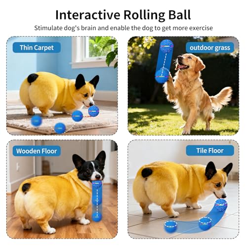 Interaktiver Spielball für Hunde, Intelligenter Selbstbewegender Hundeball, Hundespielzeug Ball, Interaktiver Hundeball 3 Modi, Self Moving Dog LED Ball, Hundespielzeug Wasserdicht Bissfest ETPU(Blau)