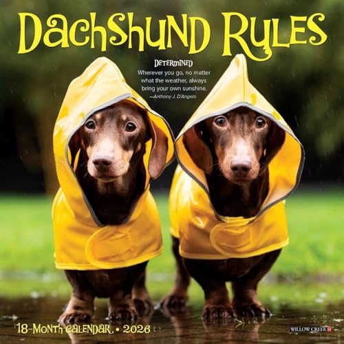 Willow Creek Press, Dachshund Rules 2026 Mini Wall Calendar, 7'' X 7'', 18-Month Calendar with Stapled Binding