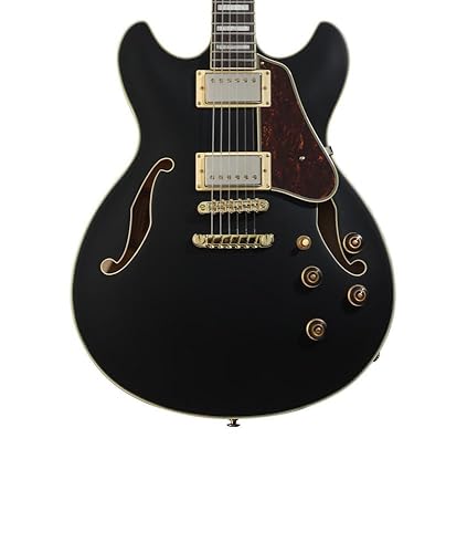 Amazon.com: Ibanez Artcore AS73G Semi-hollowbody Electric Guitar