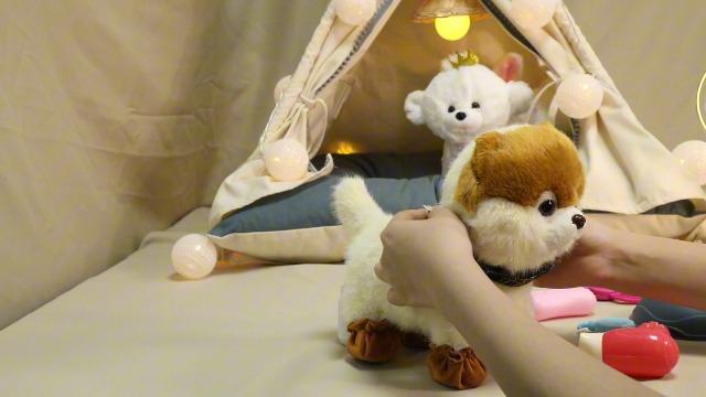 Amazon.com: Bilinott Puppy Toys for Kids Aged 3-7, Interactive Toy