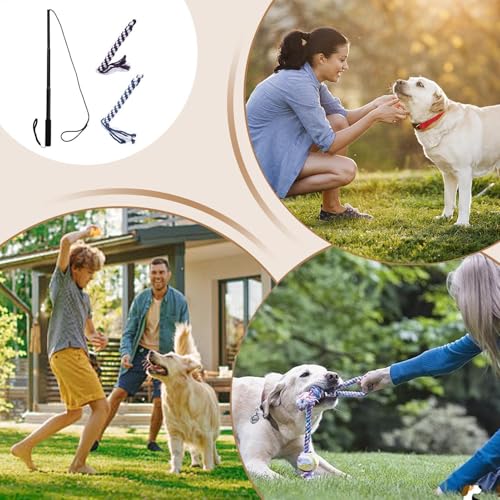 Generisch Reizangel für Hunde, Hundeangel für ultimativen Spielspaß & körperliche Auslastung - Inkl. 2 Tauen, Robust & Leicht