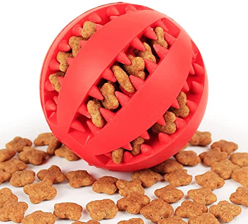 Hundespielzeug mit Leckerli Die 15 besten Produkte im Vergleich