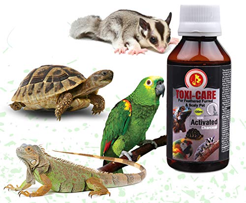 Image of Pet Care International (PCI) Toxi Care || Provide Essential Detoxification || for Healthy Iguana, Gecko and Other Scaly Pets Healthcare (100ml)