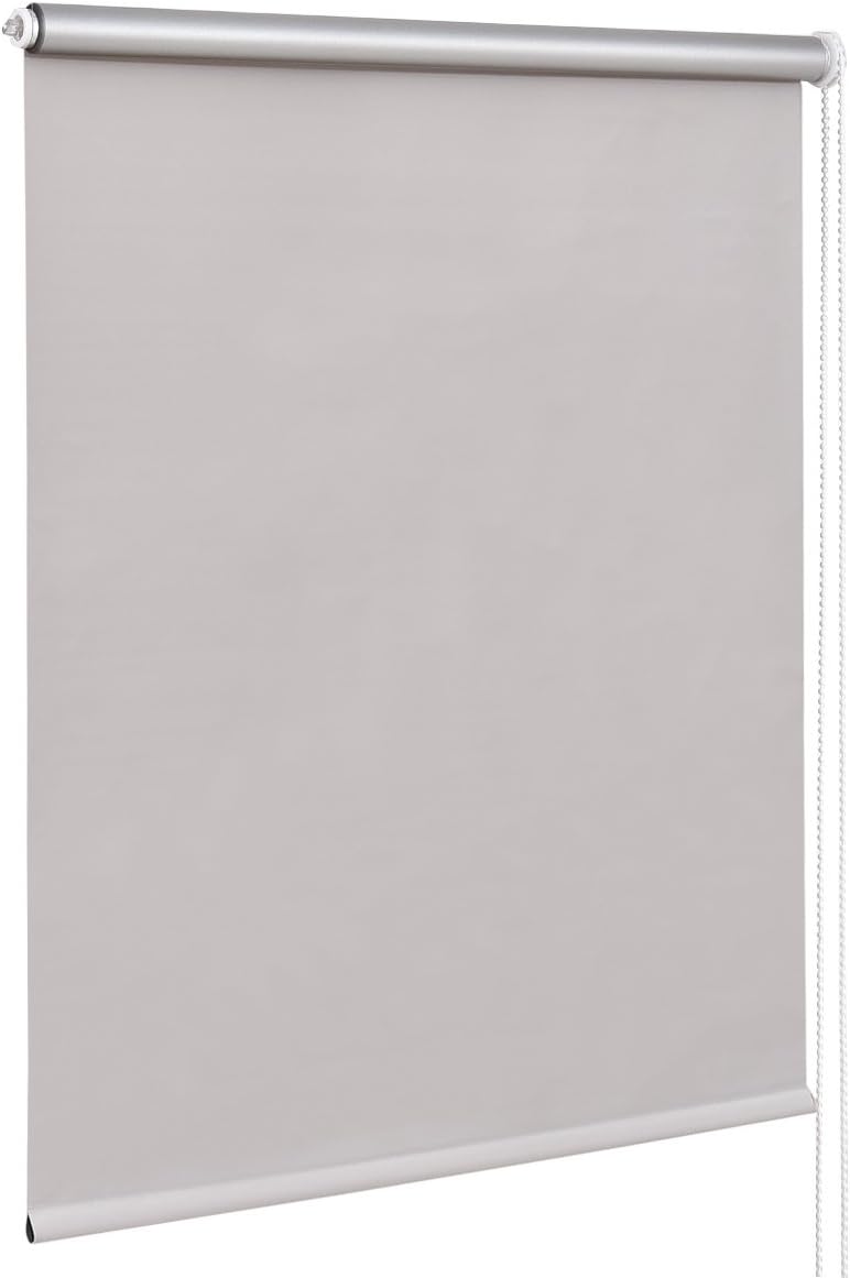 Giantex 20"x60" Roller Blinds Sunscreen Blackout Sun Shade Window Bedroom (20"x60", White)