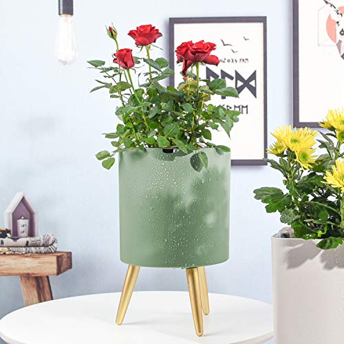 Sungmor Smart Alarm Jardinière à arrosage...
