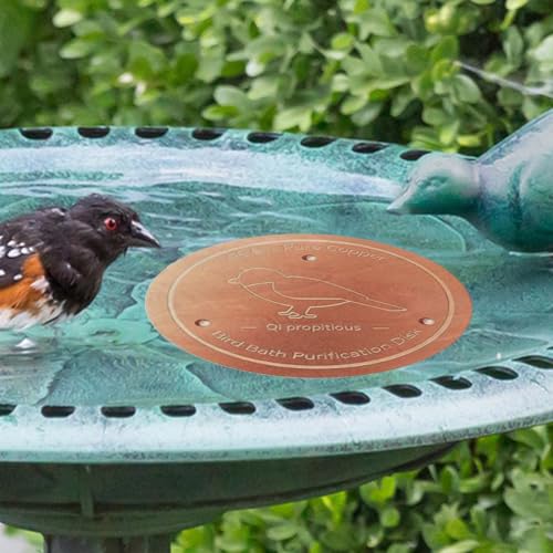 Disco de cobre para baño de pájaros macizo de alta resistencia 4