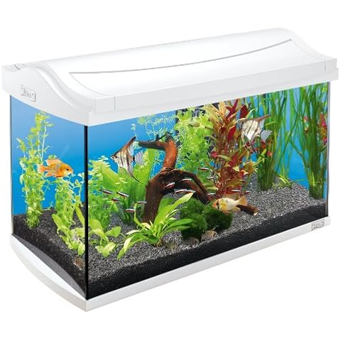 Tetra AquaArt Discovery Line Aquarium-Komplett-Set 60L Weiß Cover