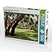 Produktbild CALVENDO Puzzle Lichter Korkeichenwald auf Sardinien 1000 Teile Puzzle quer | 1000 Teile Lege-Größe 64 x 48 cm Foto-Puzzle für glückliche Stunden