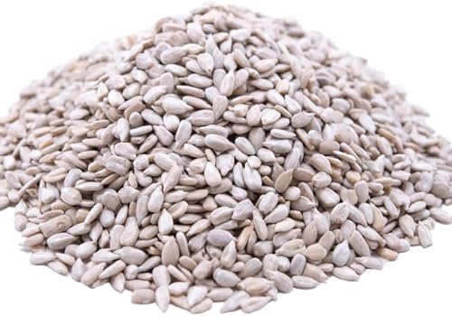 GERBS Raw Sunflower Seed Kernels 14oz. | Grown in USA & Packaged in Resealable Bulk Bag | Keto & Paleo |Allergen Friendly | Packed with Protein & Omega Fats | Gluten Peanut Tree Nut Allergy Free