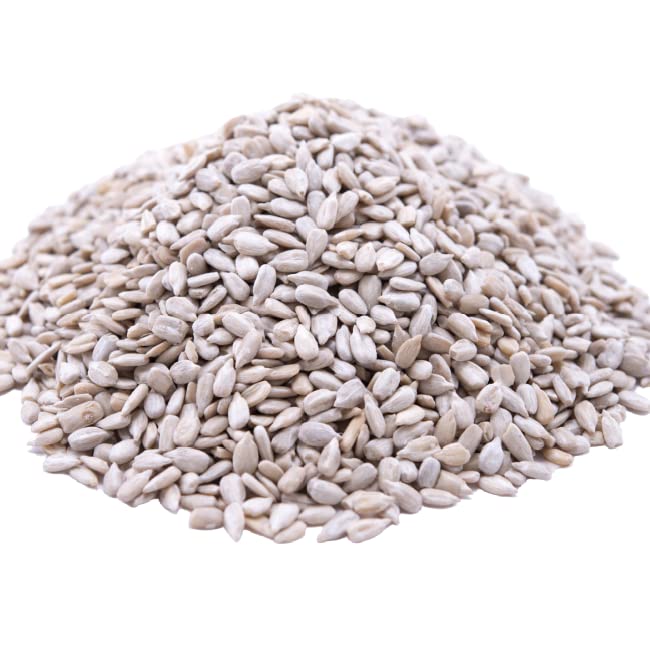 GERBS Raw Sunflower Seed Kernels 14oz. | Grown in USA & Packaged in Resealable Bulk Bag | Keto & Paleo |Allergen Friendly | Packed with Protein & Omega Fats | Gluten Peanut Tree Nut Allergy Free