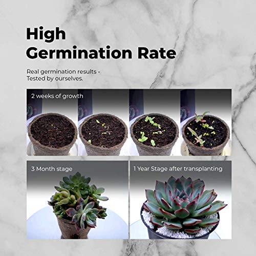 Grow Your Own Succulent Kit - Easily Grow Your Own Succulent Plants Using Our All-In-One Succulent Seeds Kit. Guaranteed Germination | Beginner Friendly | Great Gift Idea #TOP2