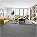 MYOYAY 20Pcs Carpet Square Tiles 20'' x 20'' Commercial Heavy Duty Carpets Squares Cuttable Carpet Floor Tile Washable for Home Office Hotel, Light Gray, 20 Tiles/53.8 sq Ft
