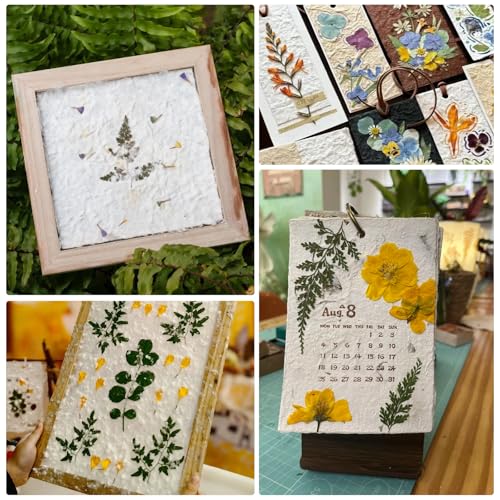 TETEWEVER 3 Stück Papierherstellung Rahmen 3 Größen Papierschöpfrahmen Holz Papier Schöpfen Werkzeuge Schöpfrahmen Mesh für DIY Papierhandwerk Craft Karten