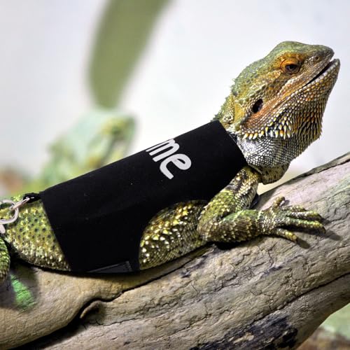 Image of Bearded Dragon Leash and Harness Set, Cute Adjustable Lizard Reptile Harness Costume Clothes with Short Leash for Small Pets Animal Amphibians Chameleons Accessories Outdoor Walking (Style B, Black)
