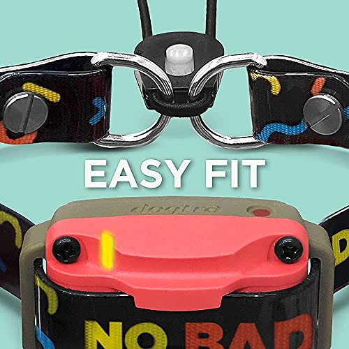 Dogtra E-Collar Tom Davis 280C Dog Training Collar With Remote Boost N’ Bungee Vibration Waterproof Ecollar For Dogs 127-Level 1/2-Mile Range #TOP4