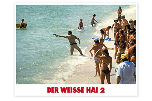Der weiße Hai 2 – 4K Steelbook (UHD + Blu-ray Disc)