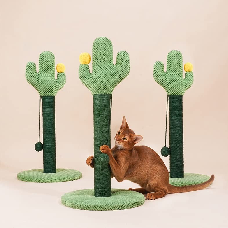 árbol para Gatos Cactus Gato Escalada Marco Gato rascador Gato Juguete Gato de pie pequeño Gato Escalada Poste Gato rascador Actividades para Gatos Muebles para Gatos