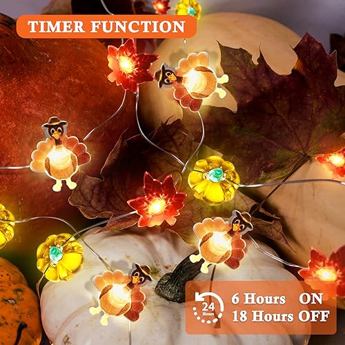 Sakayo DC1260-1 [Timer, 8 Modes]10Ft 30Led Thanksgiving Lights Decoration thumb #3