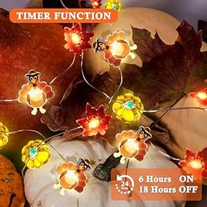 Timer 8 modes10ft 30led thanksgiving lights decoration battery operated copper wire string lights thanksgiving turkey maple pumpkin lights thanksgiving lights indoor home autumn harvest fall decor  urban country home decor
