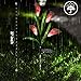 WOSPORTS Solar Lights Outdoor, 12 Lily Flower