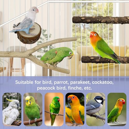 Image of PINVNBY 9 PCS Natural Wood Perches for Birds, Bird Perches for Cage, Wooden Perches Toys Accessories for Parakeet Cockatiel Parrotlets Budgie Conure Lovebirds