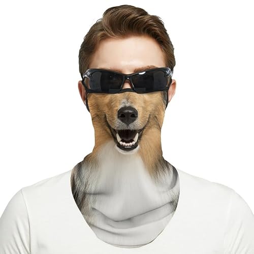 [Zleufirty]  tFCX}XN Aj} t ttFCX}XN }XN  I[goC tFCX}XN XL[ tFCX}XN TCNO}XN RXv nEBp[eB[ (3)