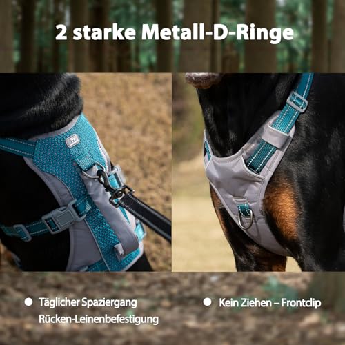 Huntboo Sicherheitsgeschirr Hund Ausbruchsicher, Panikgeschirr für Hunde, Reflektierendes Geschirr Hund mit Griff, Verstellbare Hundegeschirr für kleine, mittelgroße und große Hunde (Blaugrün,M)