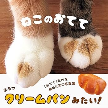 Tankobon Softcover Cat hands Book