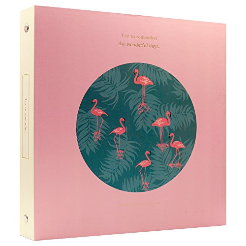 Ablus Store 100 Pockets Photo Album for Fujifilm Instax Wide 200, Wide 210, Wide 300, FP100C, FP 3000B Films(Red Crane)