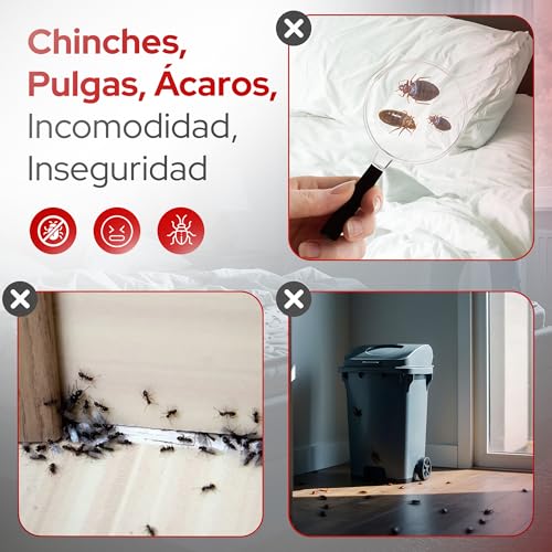 La mejor comparación de Raid para chinches Top 5. 20 Imagen adicional