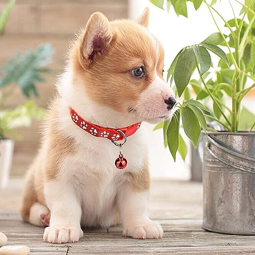 Image of KsPups Puppy Collars Paw Print Quick Release I Adjustable Leash Safety Collars for Puppy Cats I 2-Pcs (Paw Print 10mm)