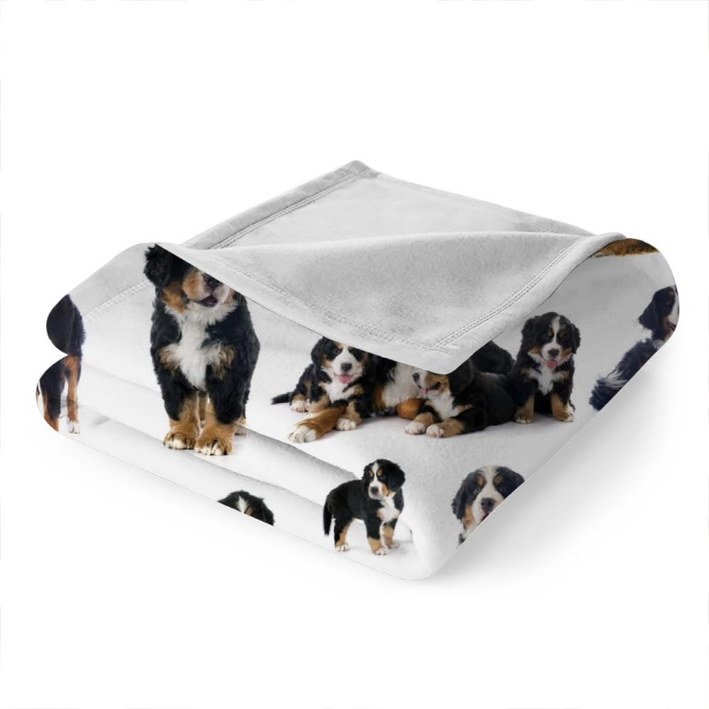 Douce Flanelle Couverture Polaire 3D Chien Montagne Bernois Microfibre Fluffy Couverture de literie 2 Personne Chien Compagnie Enfant Adultes Fille Garcon Sherpa Couverture de canapé 150x200cm