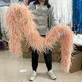 HFNCE
