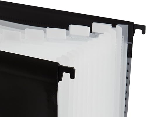 Miniatura 3 de Staples TRU RED - Carpeta colgante resistente a la humedad, expansión de 15.35 pulgadas, tamaño carta, paquete de 3 (TR51813-CCVS)