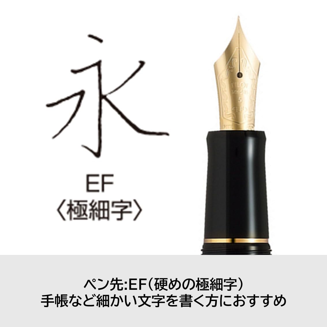 Amazon | PILOT 万年筆 カスタム74 EF エキストラファイン(極細字