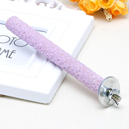 Bird Perch Parrot Standing Sticks for Paw Grinding Natural Wood Stand Cage for Small to Birds