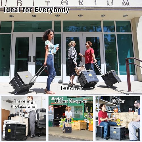 Image of dbest products Quik Cart Collapsible Rolling Crate on Wheels for Teachers Tote Basket 80 lbs Capacity, Made from Heavy Duty Plastic and Used as a Seat, Grey