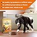 Nature’s Recipe Grain Free Chicken, Sweet Potato & Pumpkin Recipe Dry Dog Food, 24 lb. Bag