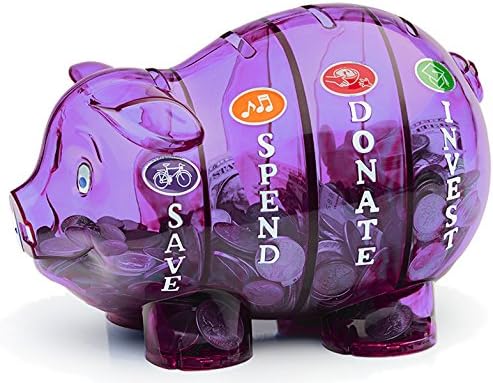 Money Savvy Pig - Purple