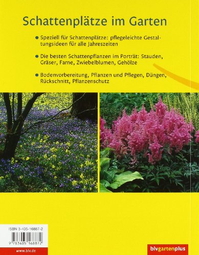 Schattenplätze im Garten: Die besten Pflanzen · Gestalten und Pflegen