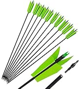 AMEYXGS 6/12 Pcs 30 Inch Archery Carbon Arrows Target Practice Flu Flu Arrows Spine 500 Small Gam...