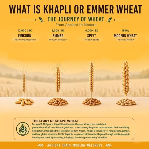 Image of RAV Organic NPOP Certified Organic Khapli Wheat Dalia 400g | Ancient Emmer Wheat Daliya | 1.5X Protein vs Regular Daliya | High Fibre Low GI | No Bleaching No Additives | Pesticide-Free Wholesome food | Porridge