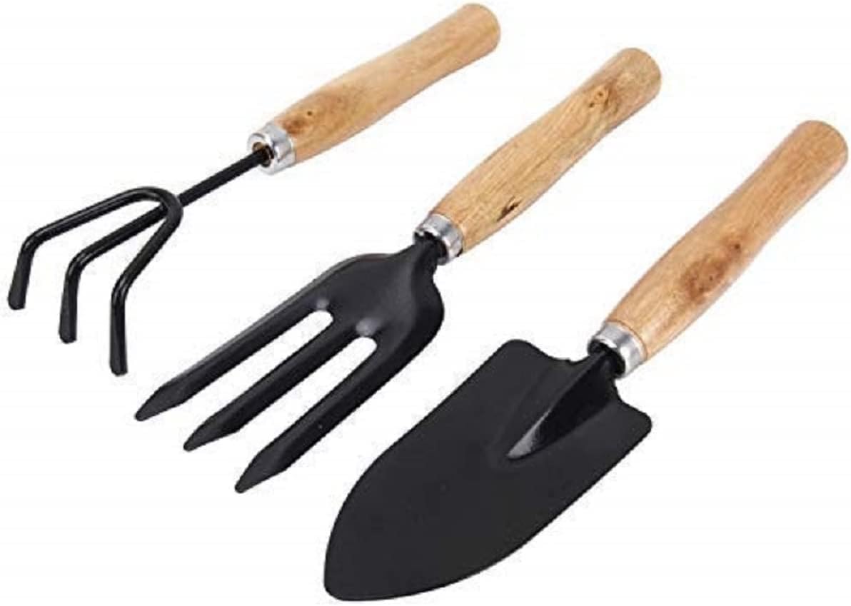 Gardening Tools kit Hand Cultivator, Small Trowel, Garden Fork (Set of 3)