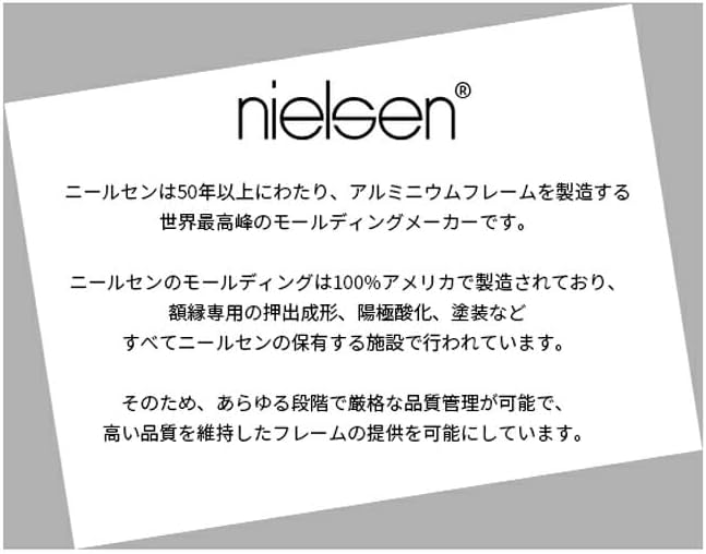 写真用額縁 NS002/シルバー （07-FS33） 写真A2(594&times;420mm) 前面UVカットアクリル仕様 マット付き（ホワイ