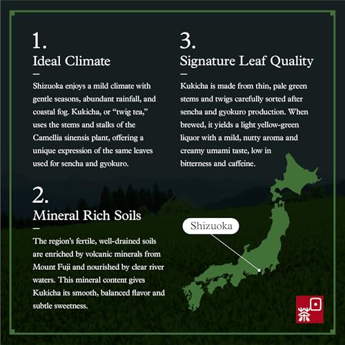 Image of Ocha & Co. Organic Kukicha Twig Tea - Organic Green Tea from Stems & Leaf - Loose Leaf Japanese Green Tea - Nutty, Honey and Citrus Taste Twig Tea,100g /3.5oz