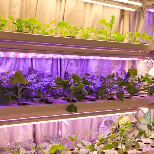 highydroLED 植物育成ライト 60W フルスペクトラム 長さ120CM 6本セット T8LED器具一体型直管蛍光灯 ZW0219 の商品画像 6