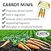 Exotic Nutrition Carrot Mini's - Fun & Unique Chew for Rabbits, Guinea Pigs, Hamsters, Chinchillas, Etc.