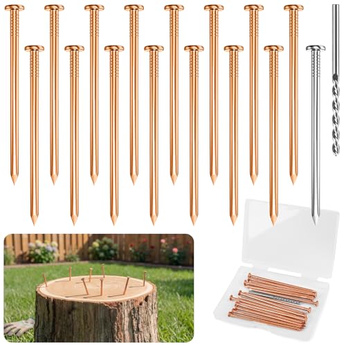 UNIFAMILY Copper Nails to Kill Tree Stump 4 Long 15 Pcs Copper Nails with Steel Nail and Dril for Trees Stump