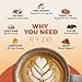RYZE SUPERFOODS Mushroom Medium Roast Coffee Starter Kit, USDA Organic Instant Coffee with 6 Adaptogenic Mushrooms and for Energy, Focus, Digestion, Immunity with Lions Mane & Turkey Tail 60 Serving